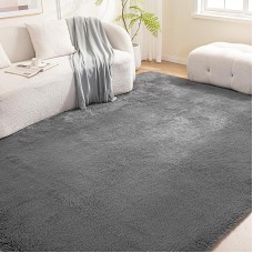 Basics Fluffy Washable Area Rug, Shaggy Carpet for Living Room, Bedroom, 5' W × 7' L, Dark Gray